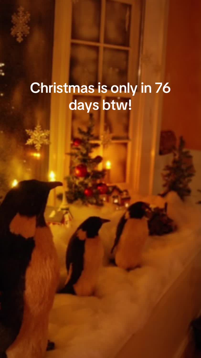 @christmas vibes!