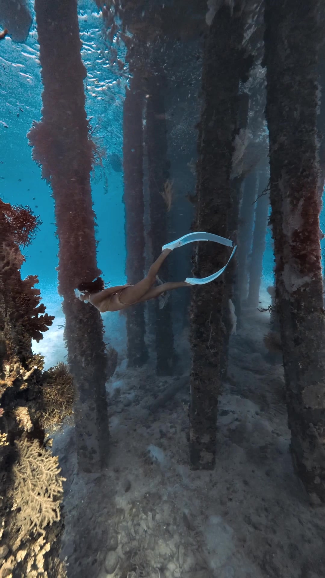 @@voltamazingfreediver