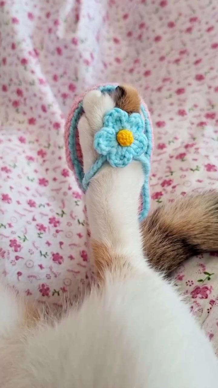 @Linber amigurumi
