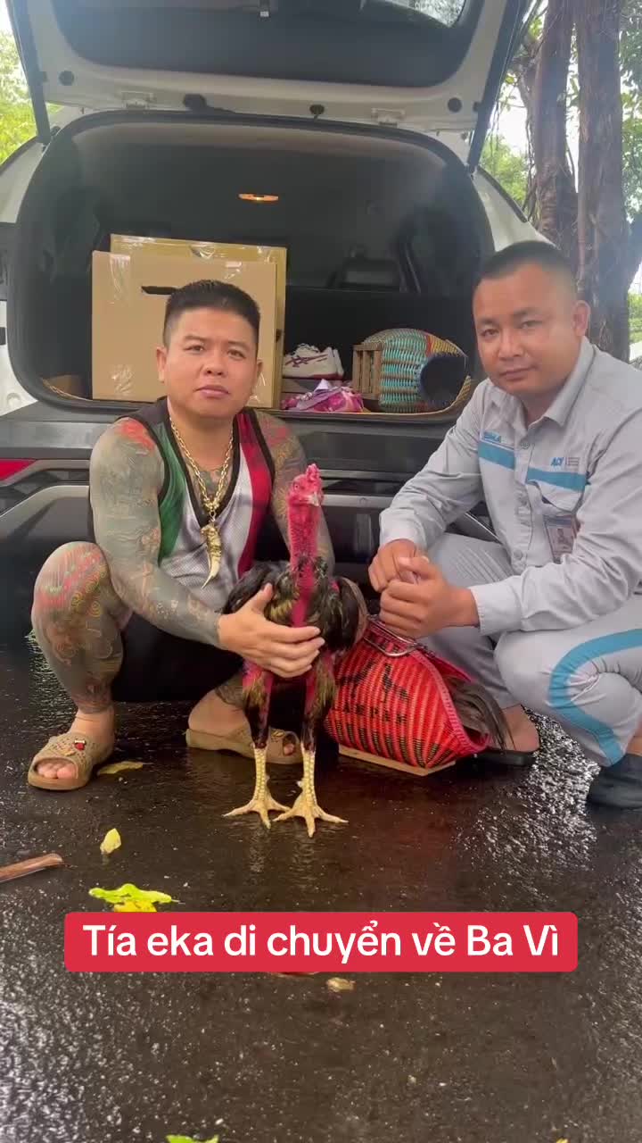 @Quyền Ba V&igrave;