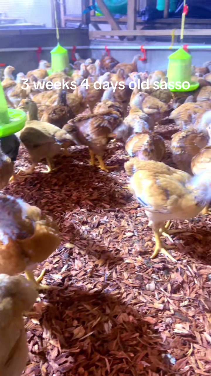@evansjobsfarms