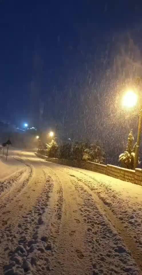 @يه حيا عوسمان