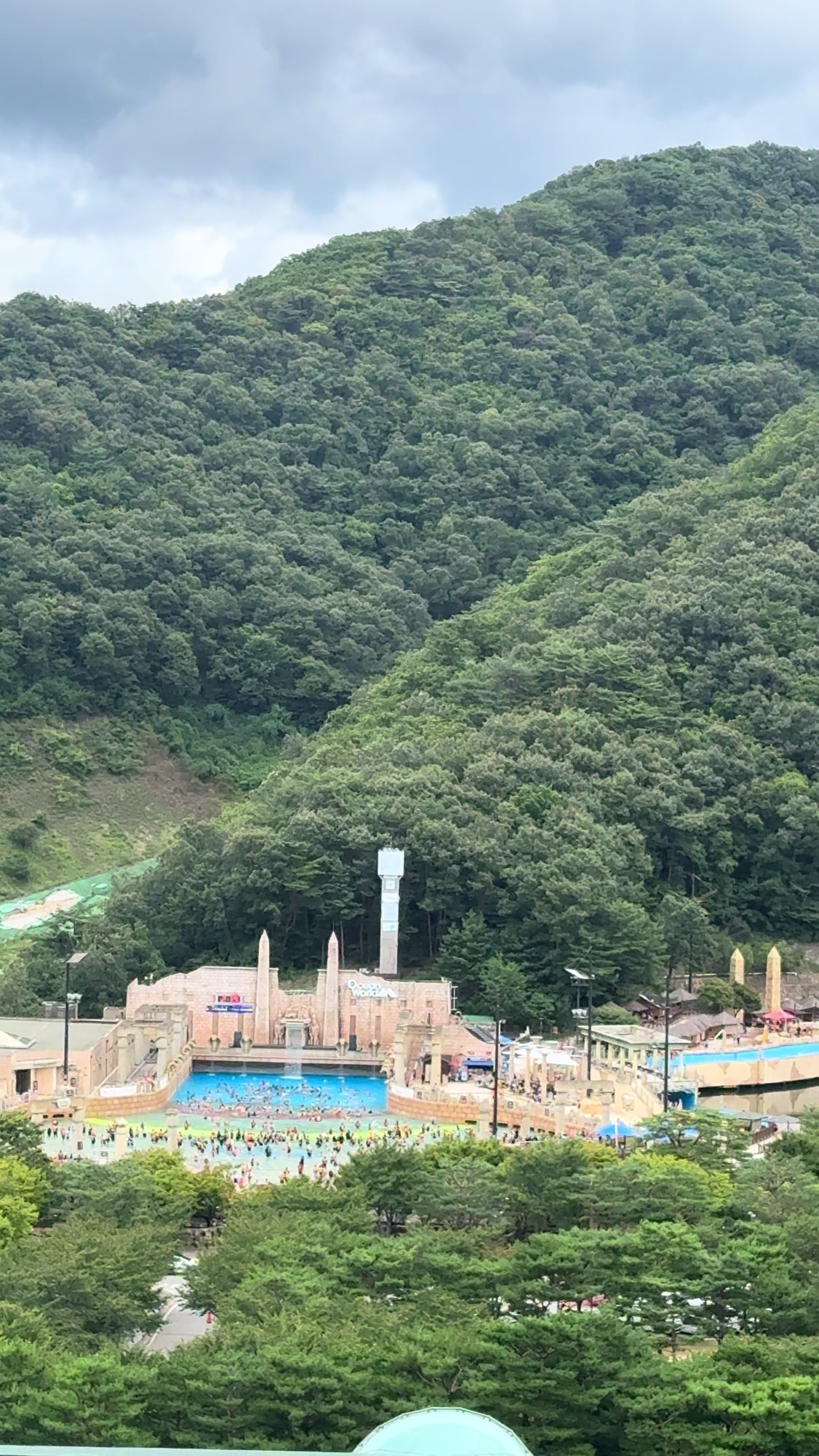 @숭사장건어물(숭사장오징어)🦑