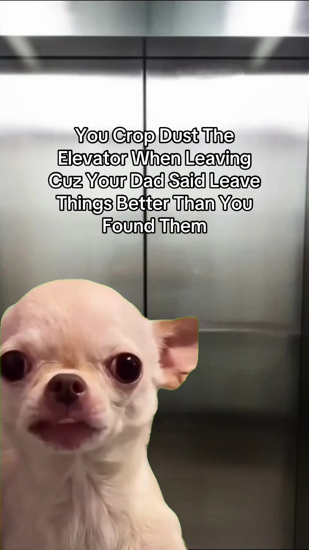 @BeautDad