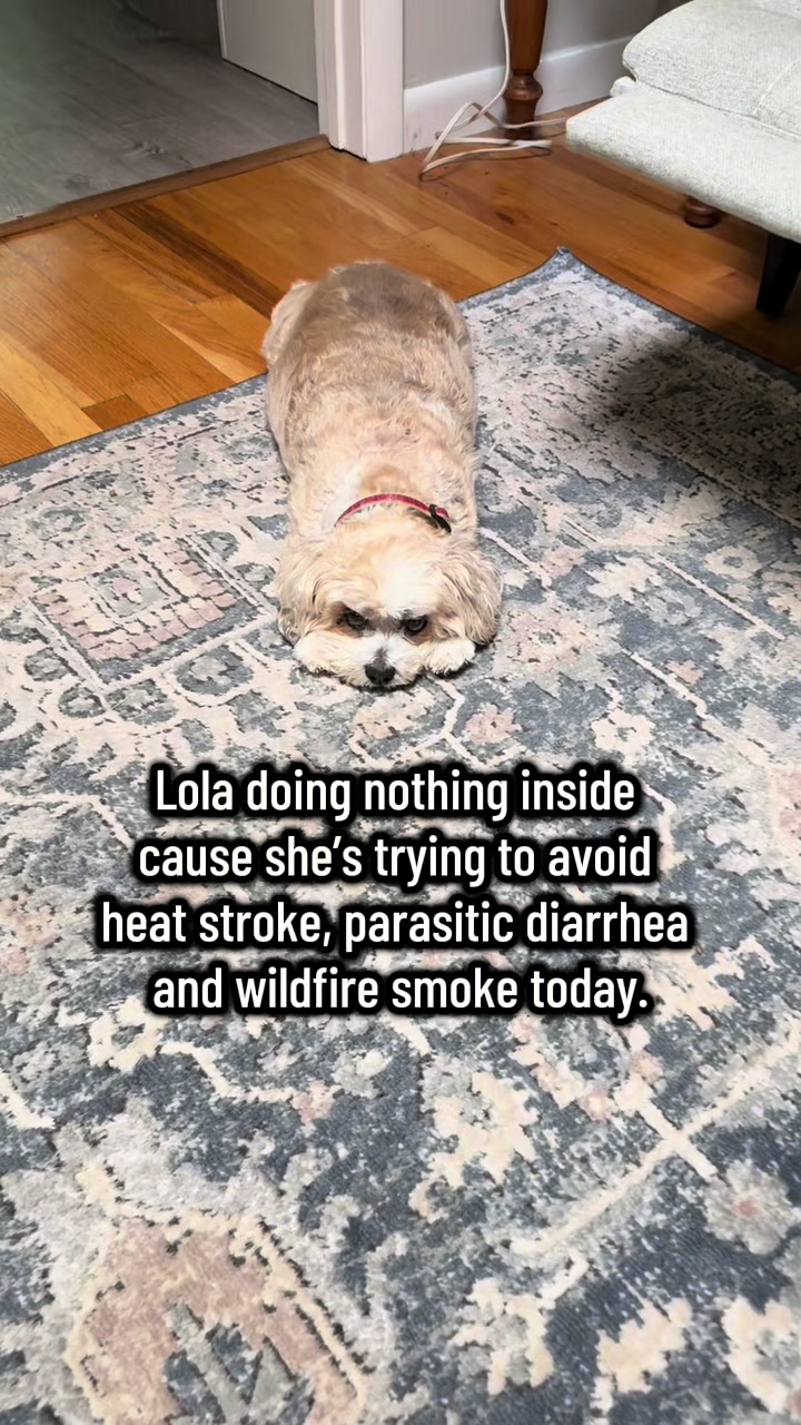 @LittleLuna.and.Lola