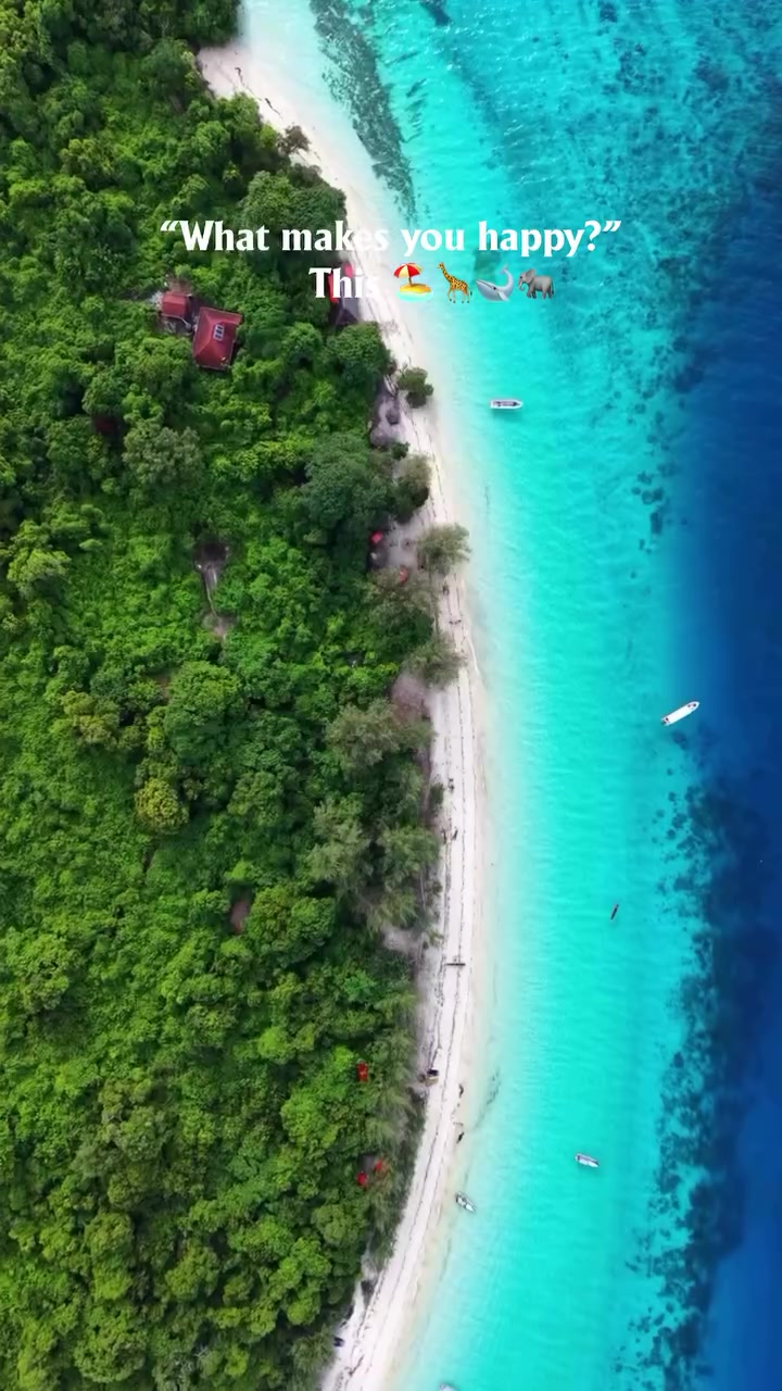 @Zanzibar 🇹🇿