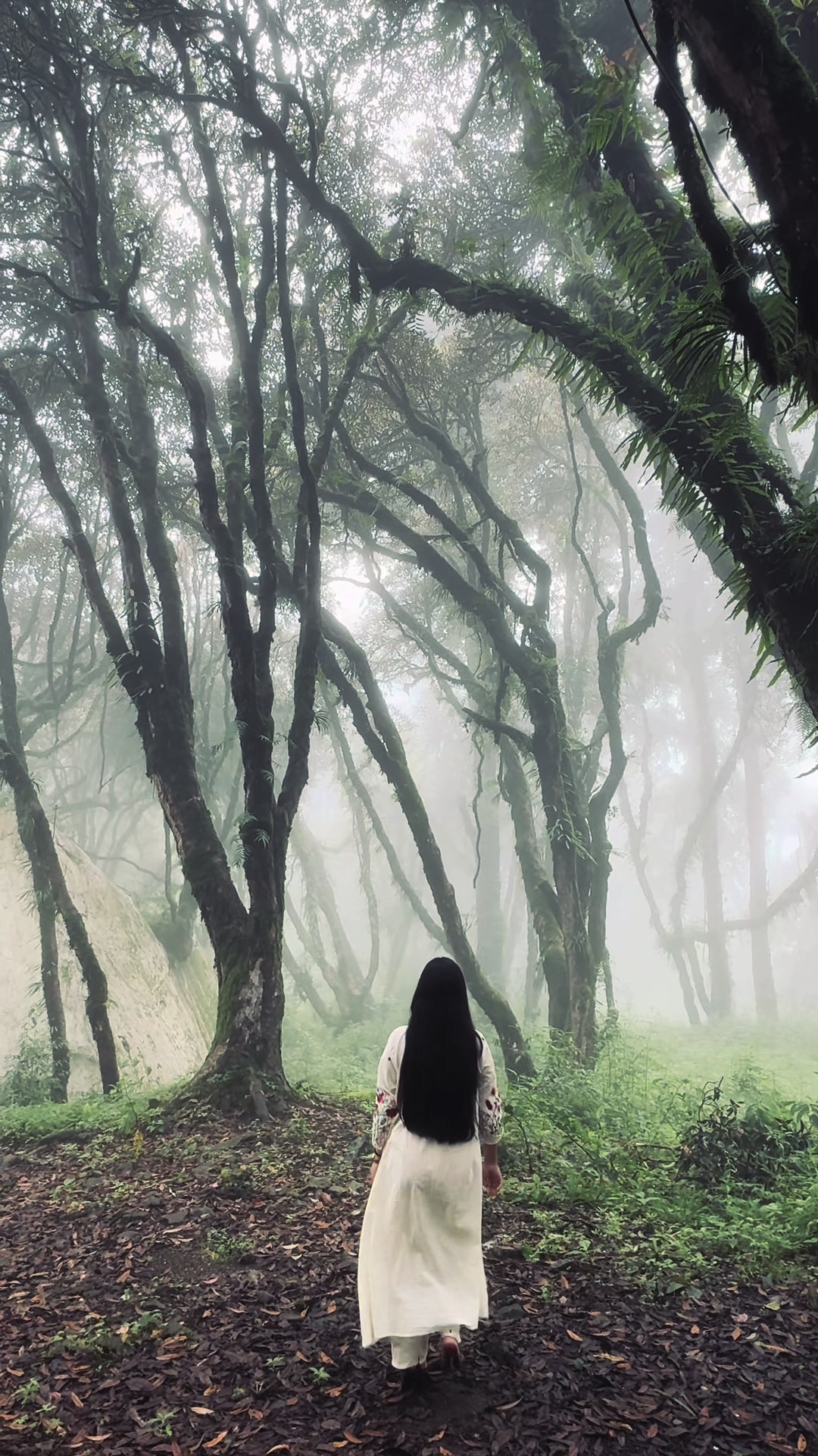 @Gurung__6🕊️
