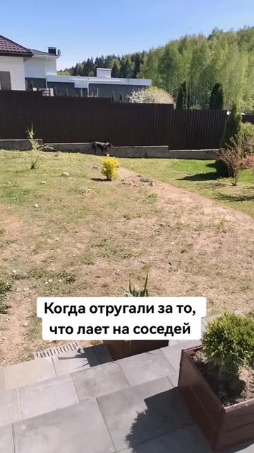 @Доберман Шелби