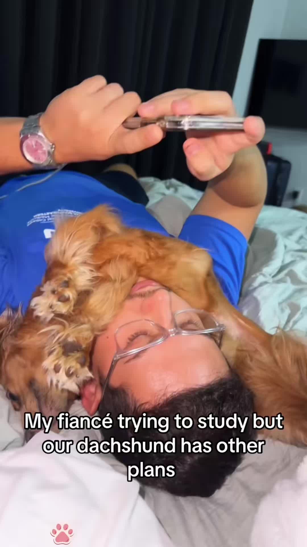 @cuteanimals472