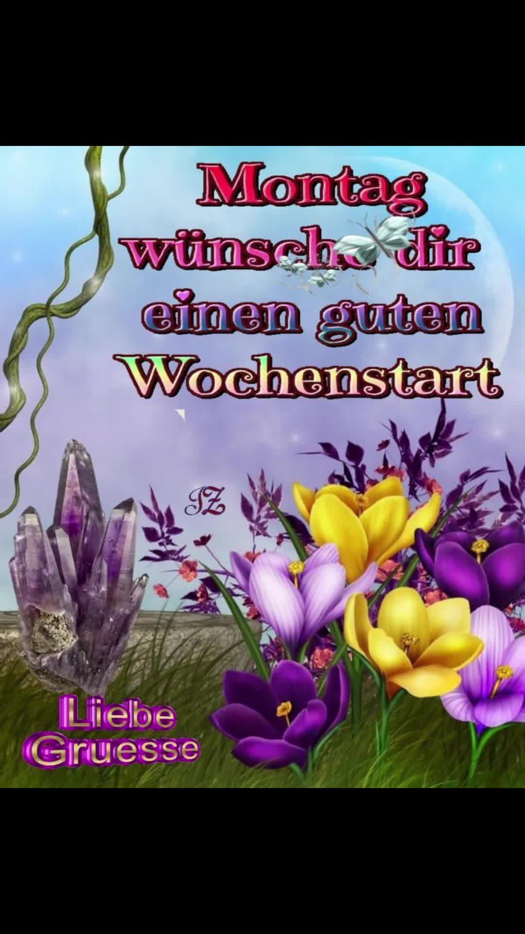 @dagmarschoondy