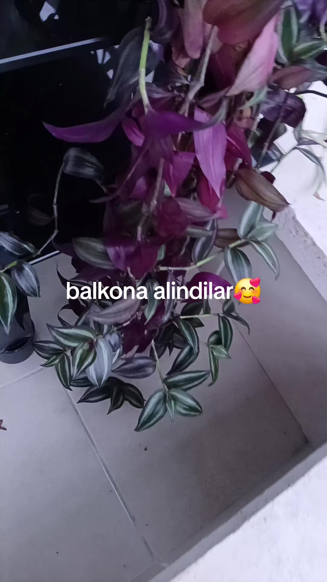 @.bilgem 💗💓
