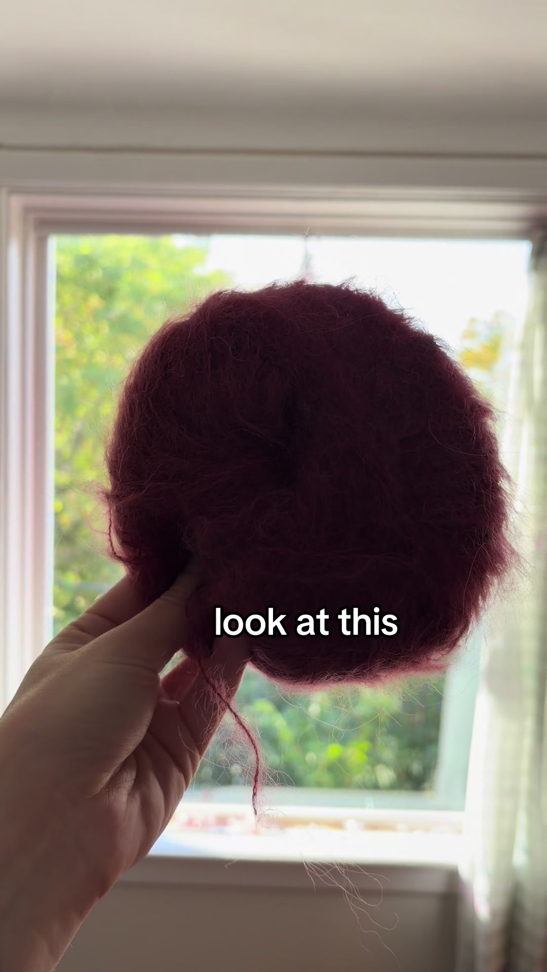 @bayla