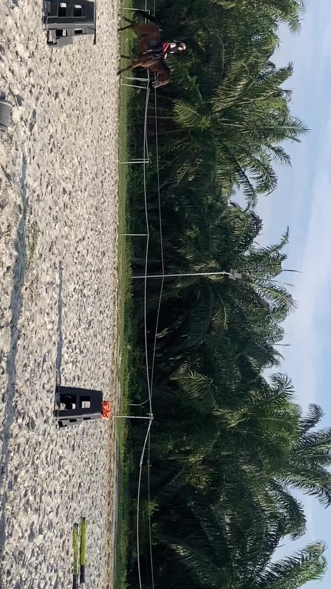 @awanmulann☁️