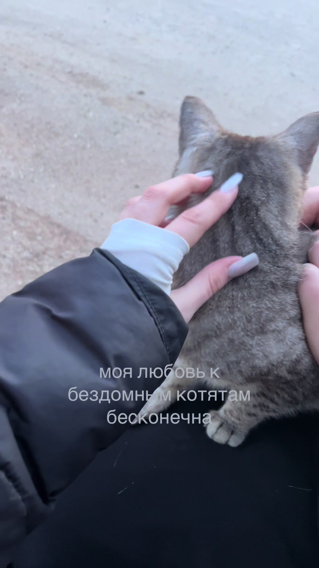 @˚₊𓆩викс𓆪₊˚
