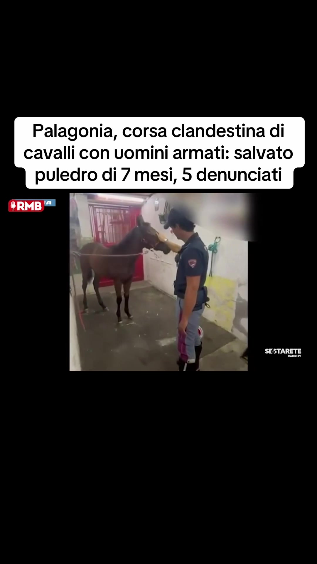 @Edoardo Picone | Giornalista