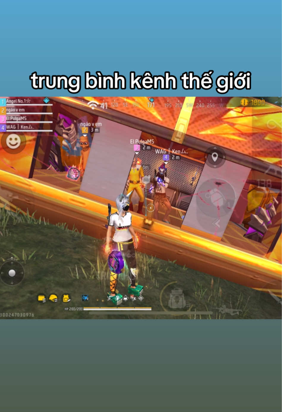 @Angel FF