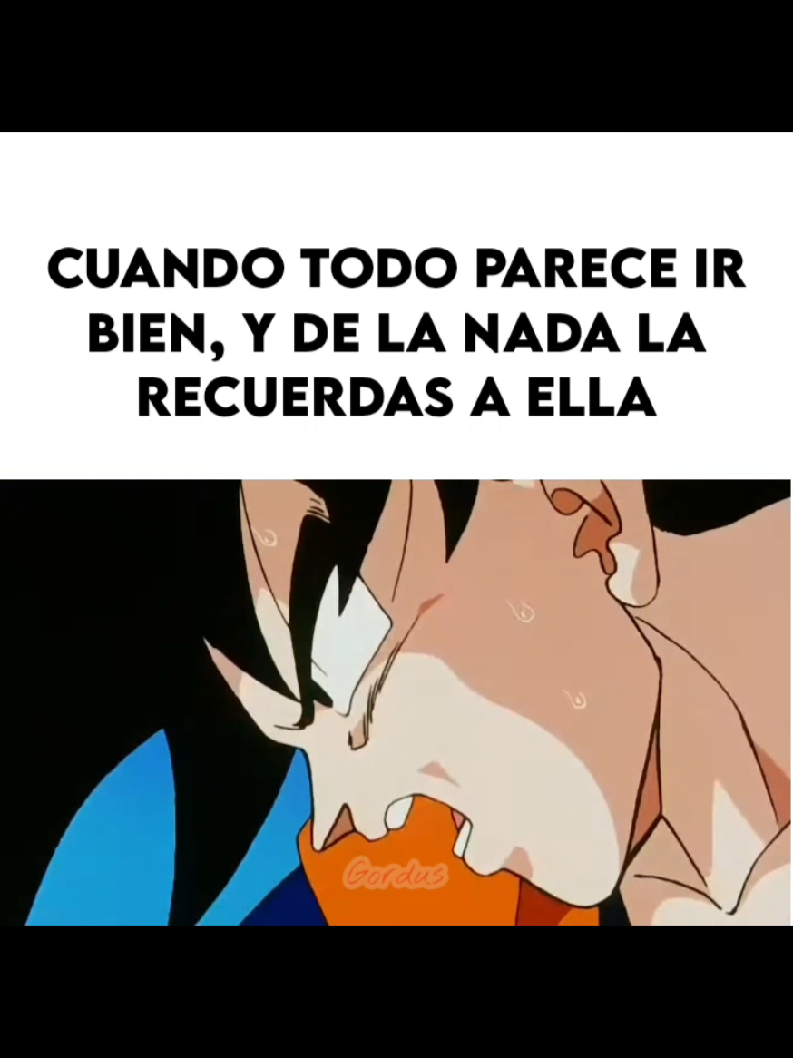 @Alex Lima