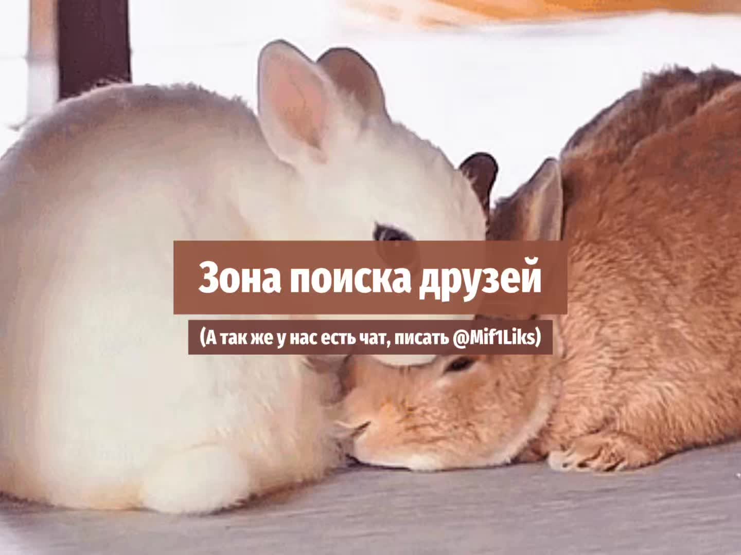 @Поиск друзей