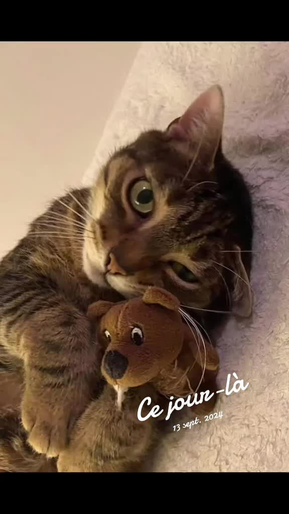 @christele62