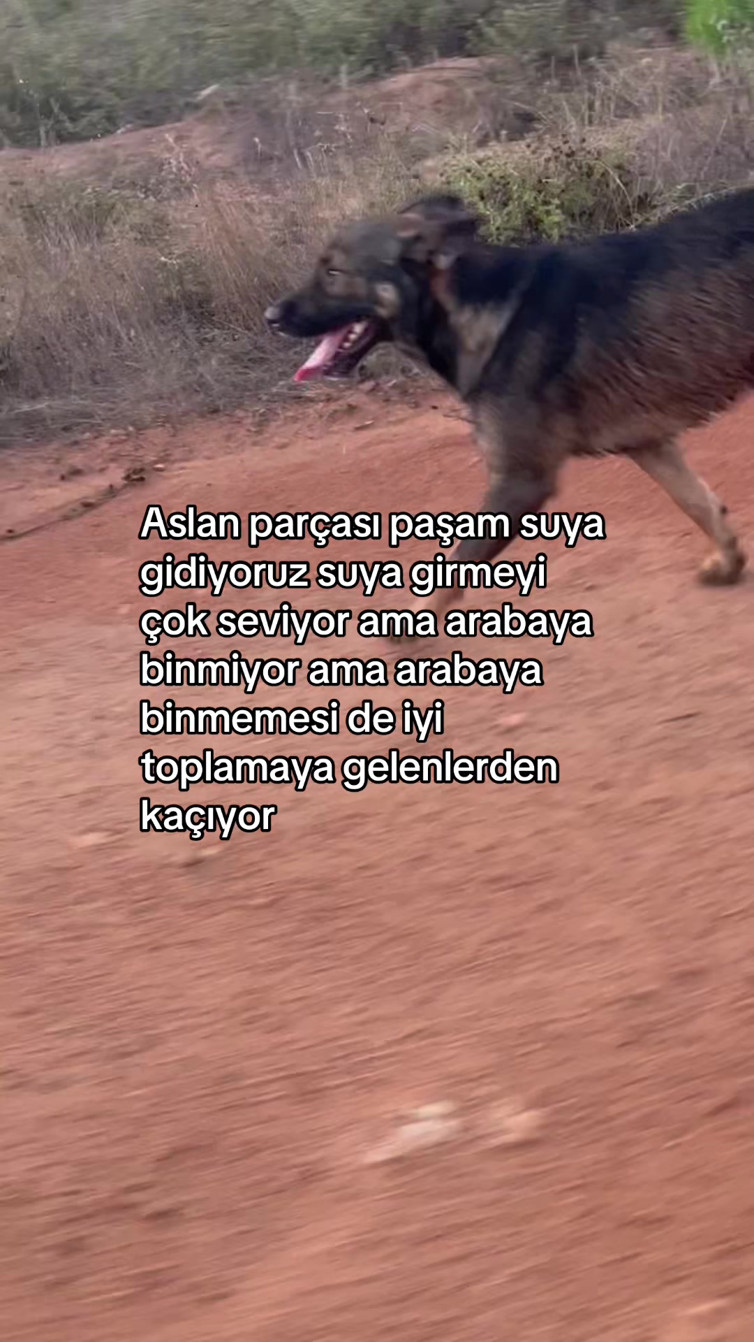 @Gönülünpatileri