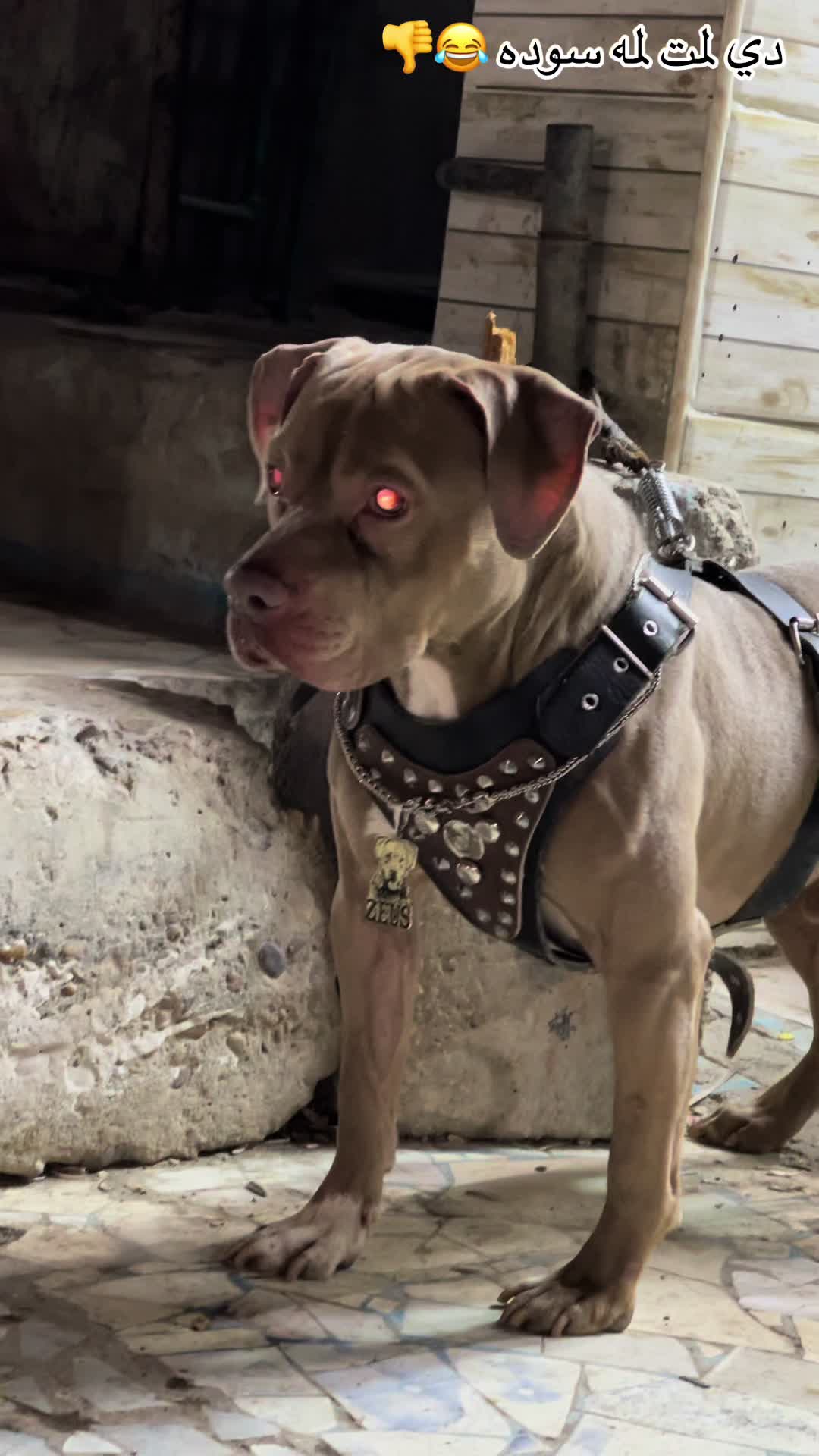 @zeus❤️🔥😈
