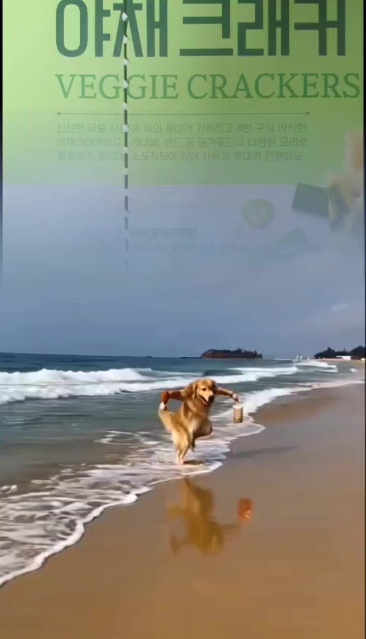 @올싱나야