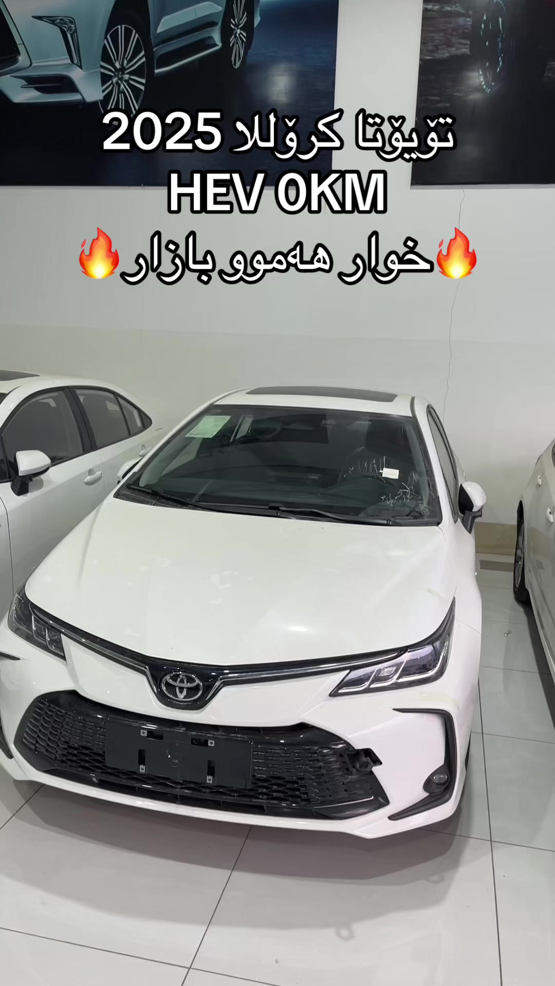@شرکە سامان ابراهیم محمد