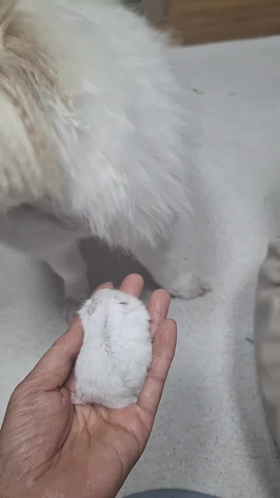 @땡이맘/헤어톡