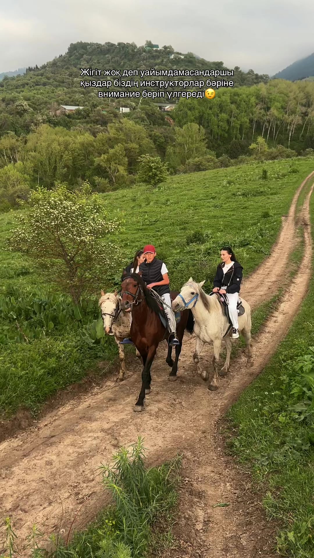 @akshatau_horses