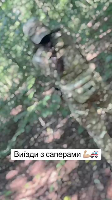 @medic-vedmedic🐻