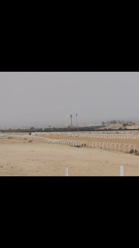 @عبدالله حمد التميمي jockey🏇🏿