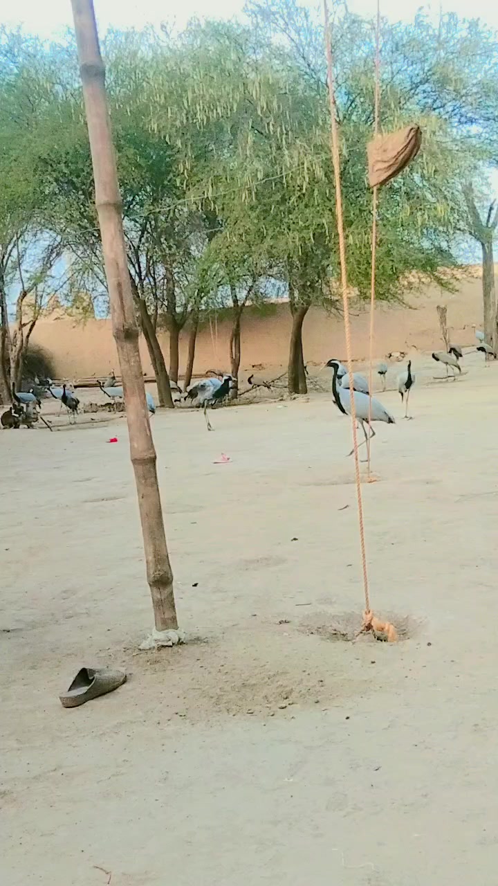 @غیرتی جانان