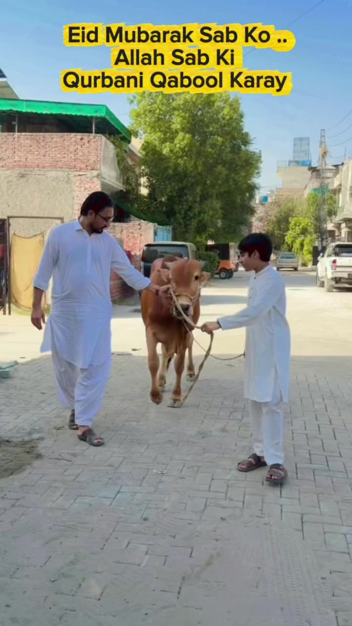 @Muaz_bakhtawar