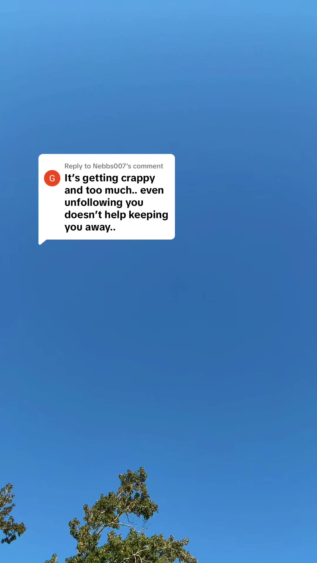 @Morgan Maksoud Miller