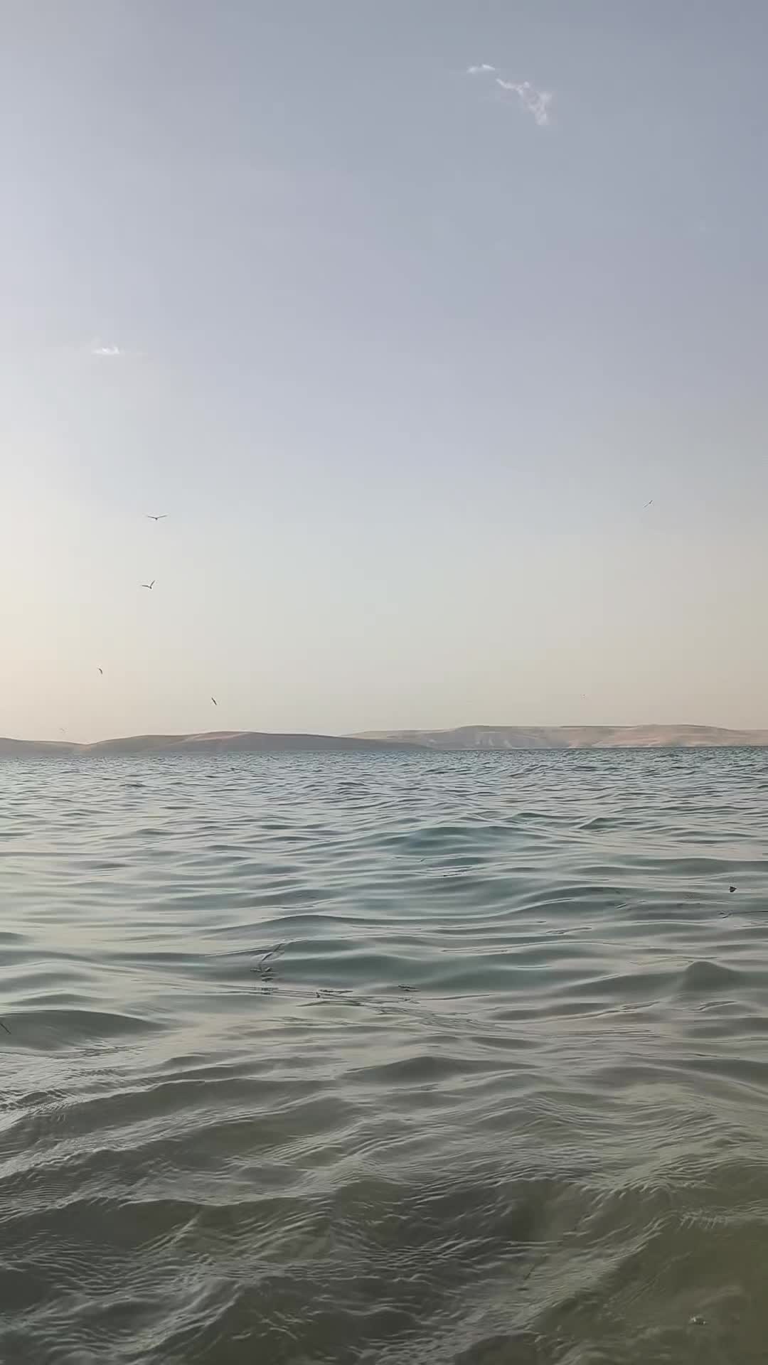 @ÇeTiN