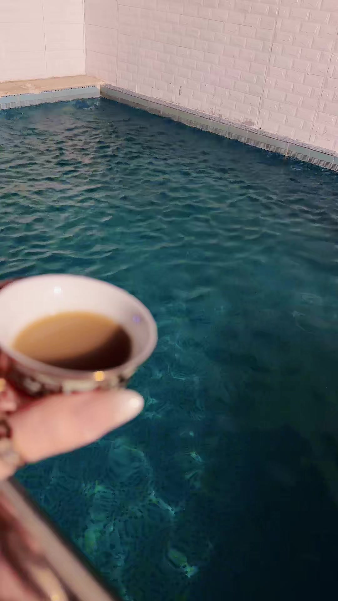 @⭐️⭐️⭐️نجمة الهيلا وبس ⭐️(١)⭐️