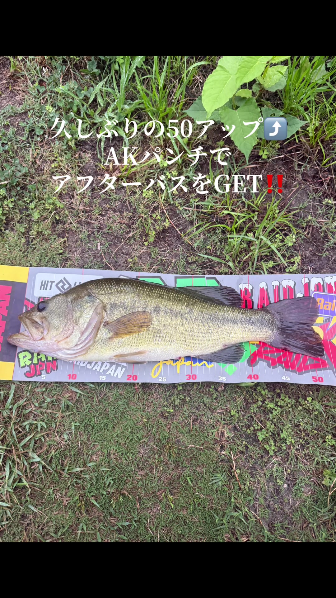 @片田舎のおっさんブラックバスを釣る