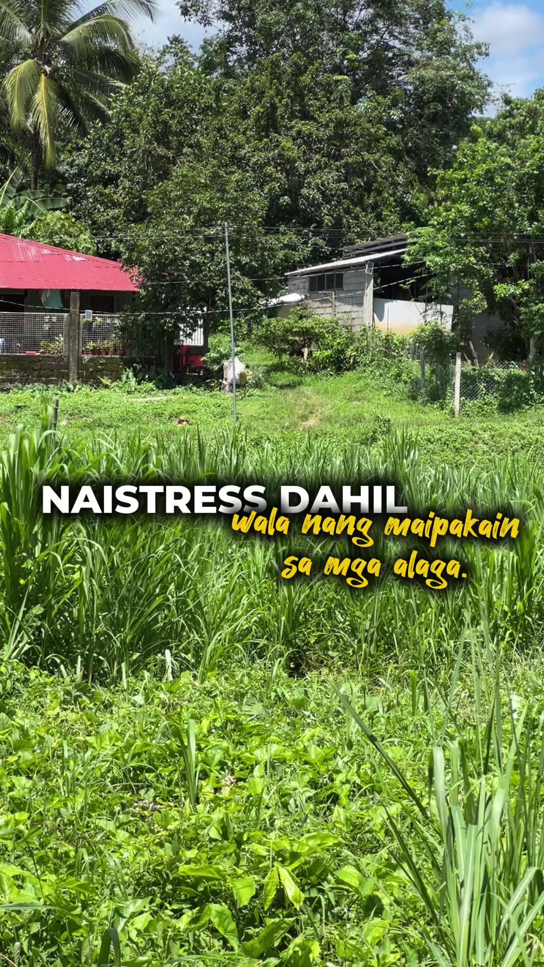 @indaypoypoy