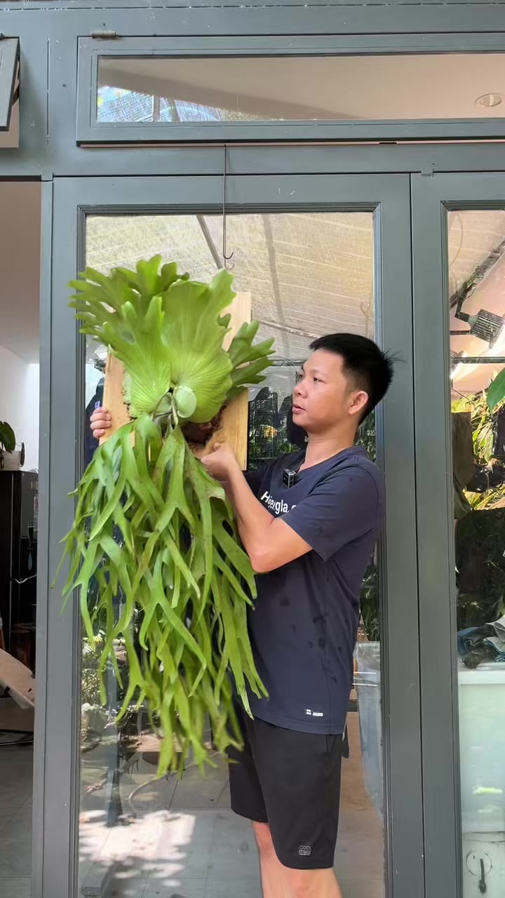 @Huy Kiểng L&aacute;