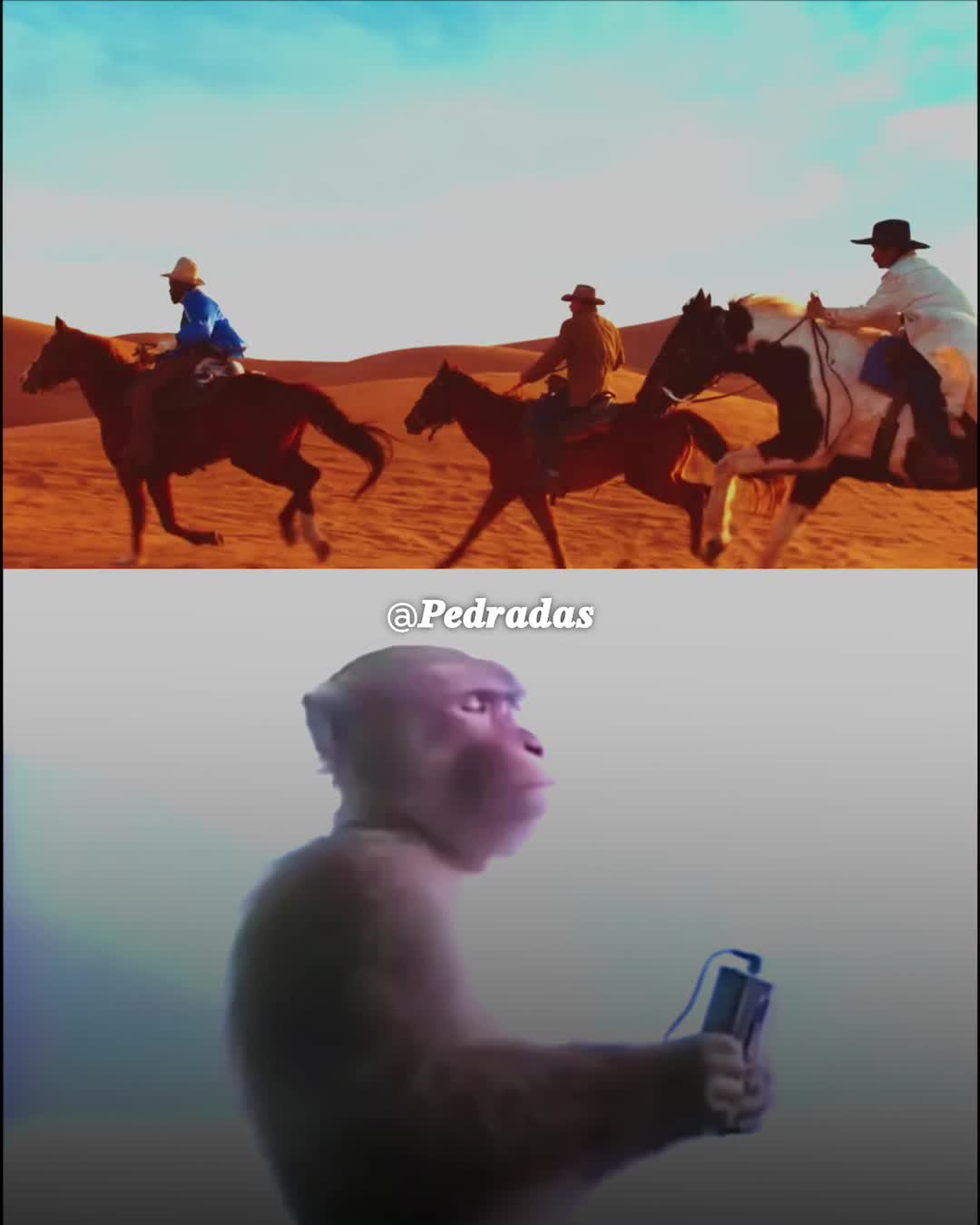 @๐ท๐๐
๐๐๐
๐๐๐ต