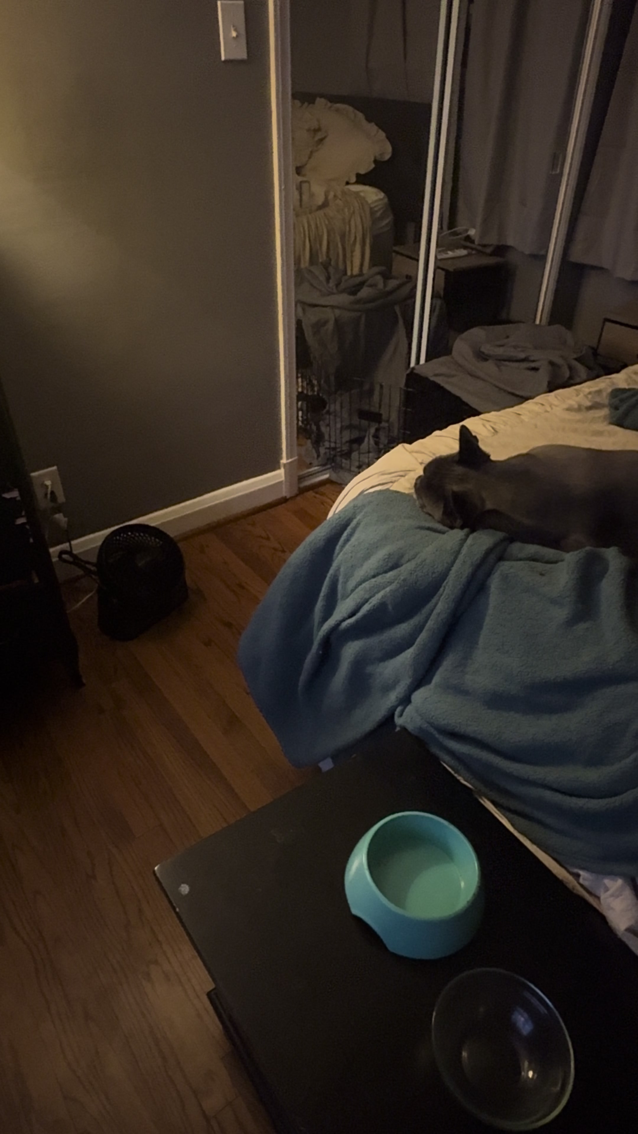 @Kat