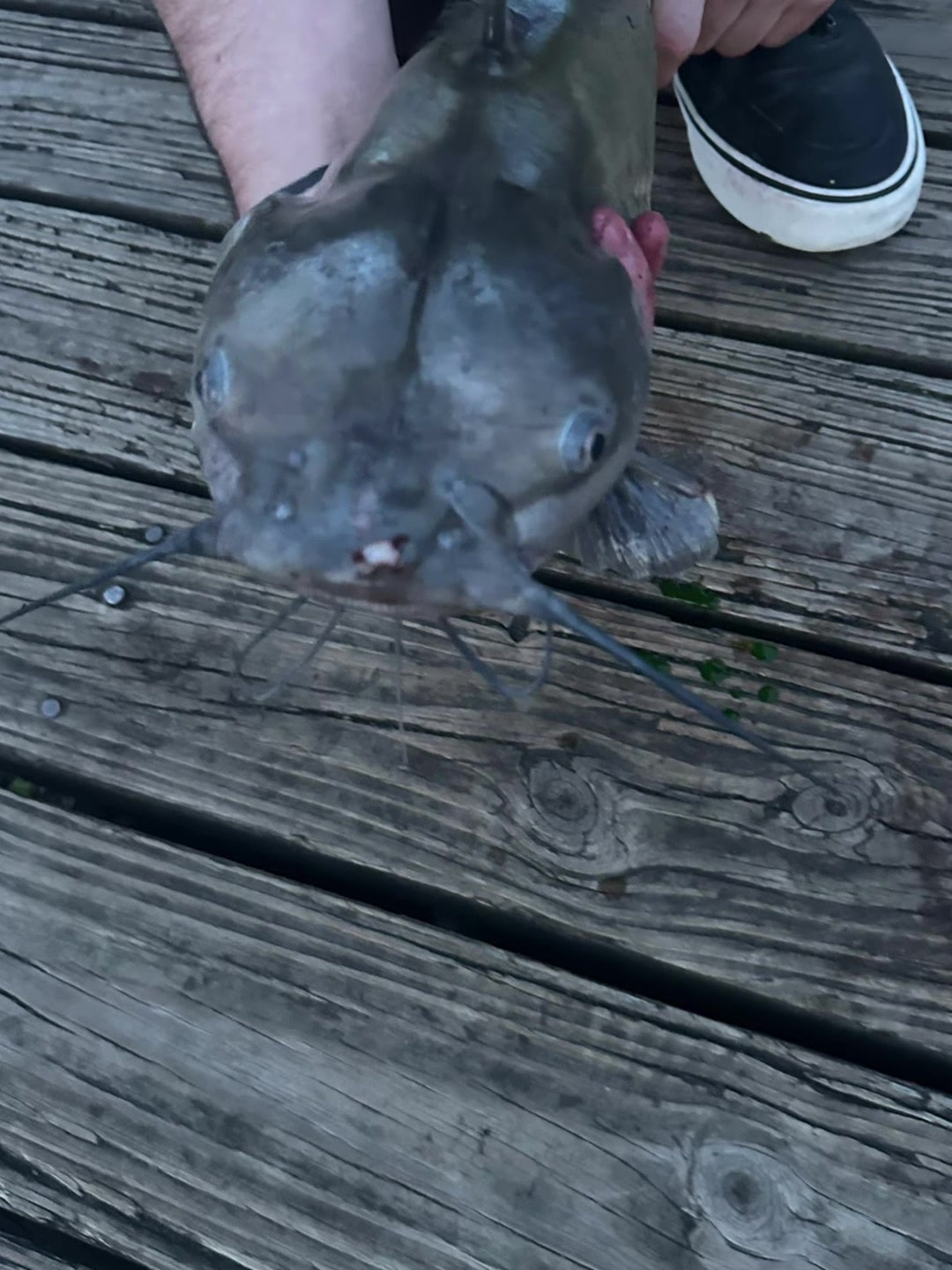 @rdemhated