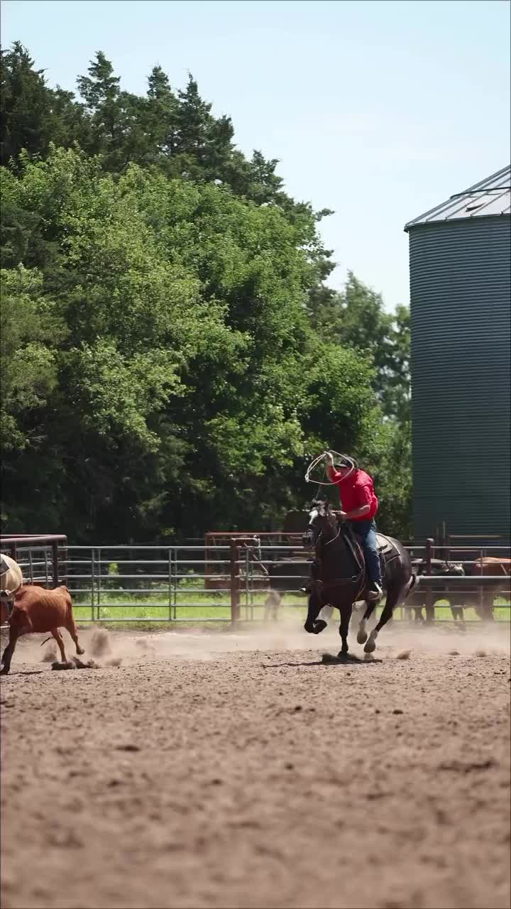 @Roping Dummies Texas