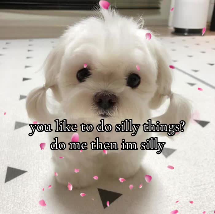 @realestsz0