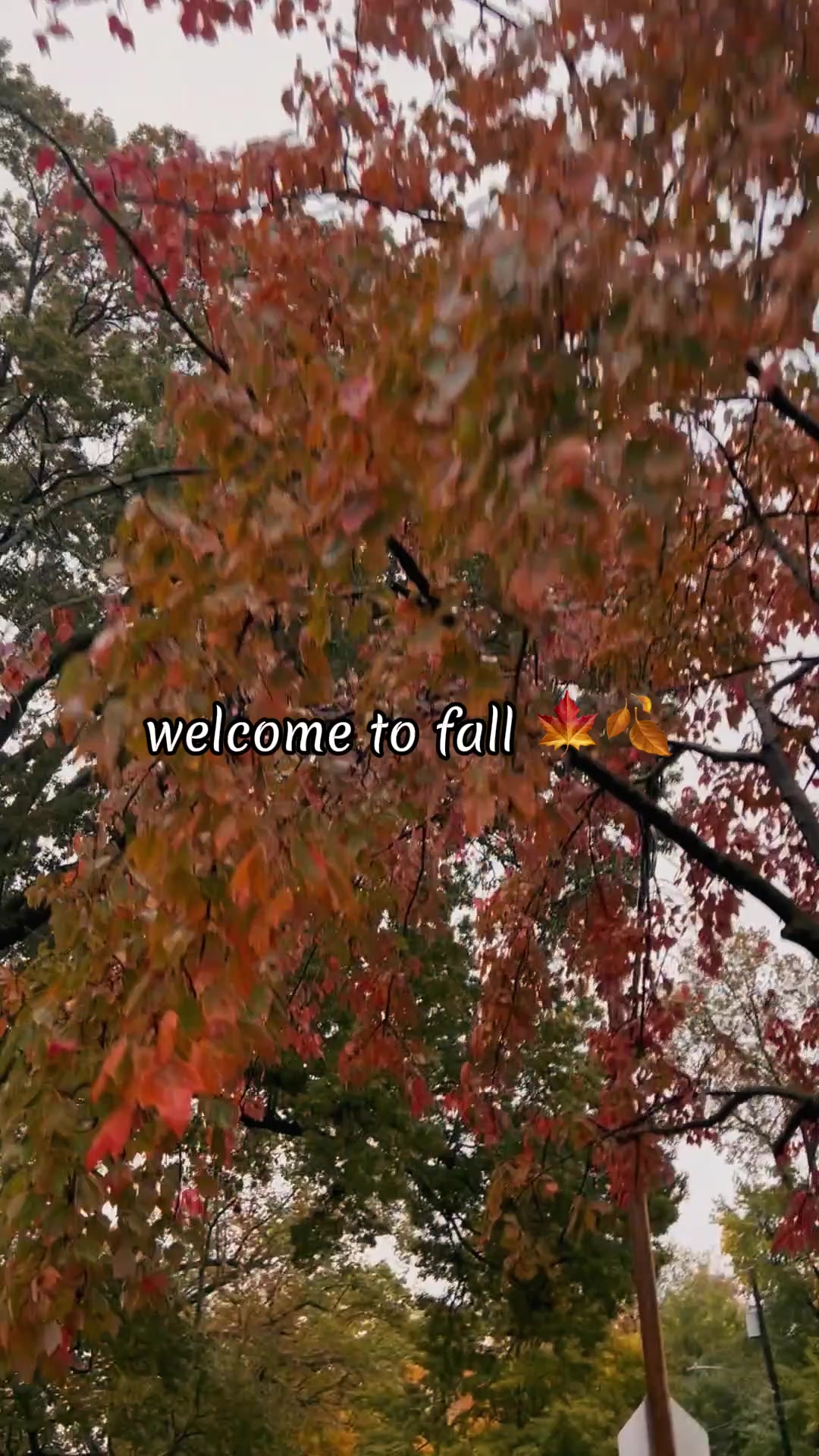 @abitspooky