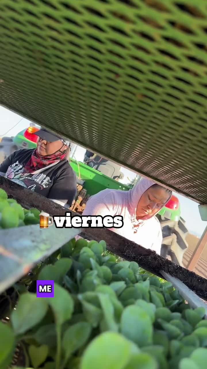 @Cultura Filera
