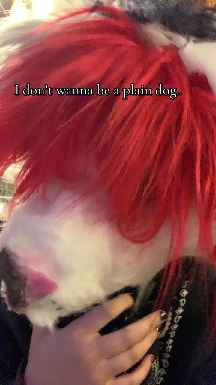@{🤍⟡𓆞𝔉𝔦𝔰𝔥𓆟⟡📝}