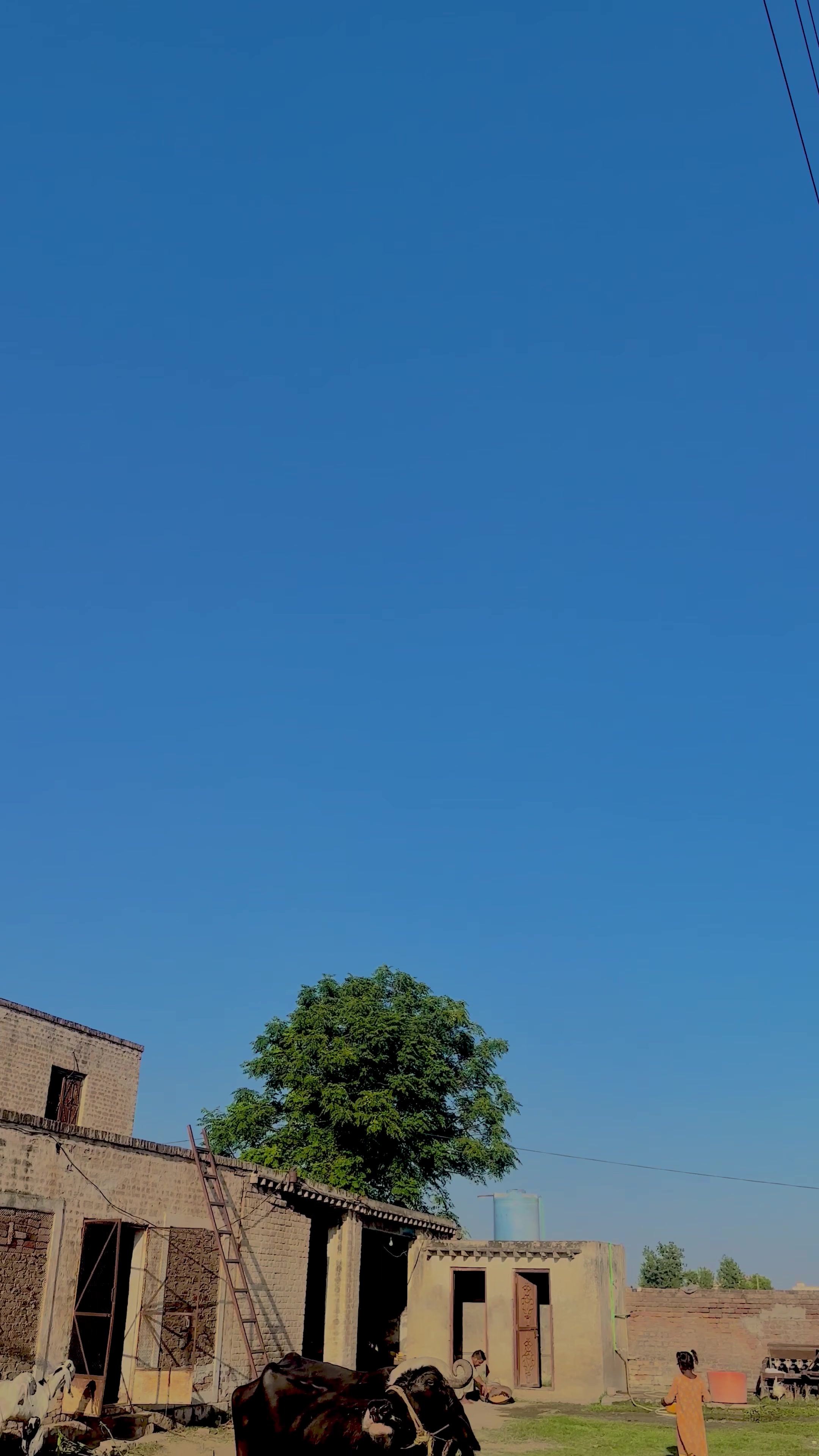 @مانی جٹ💫💯