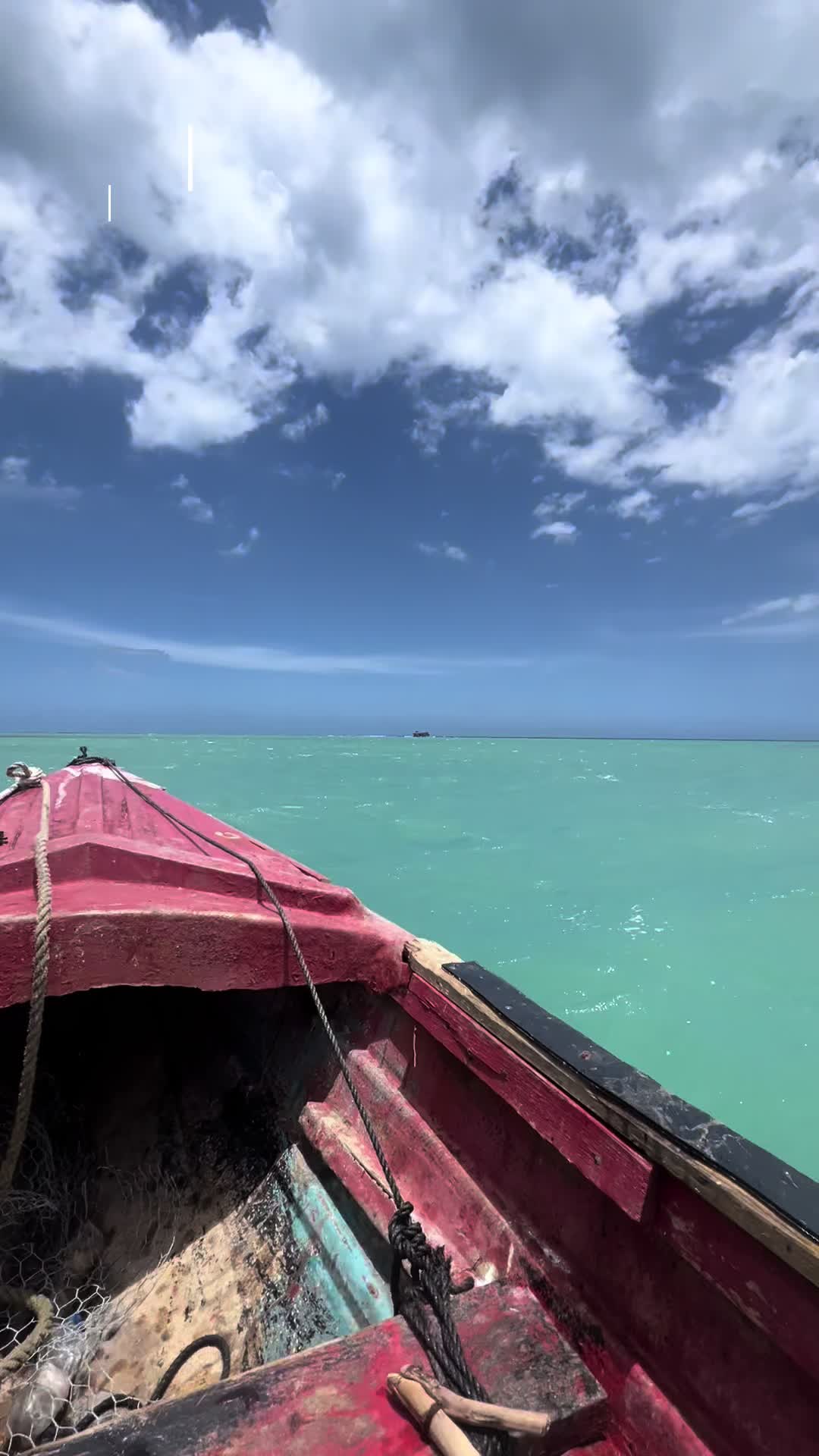 @Fiwi 🏖️🇯🇲🇧🇸