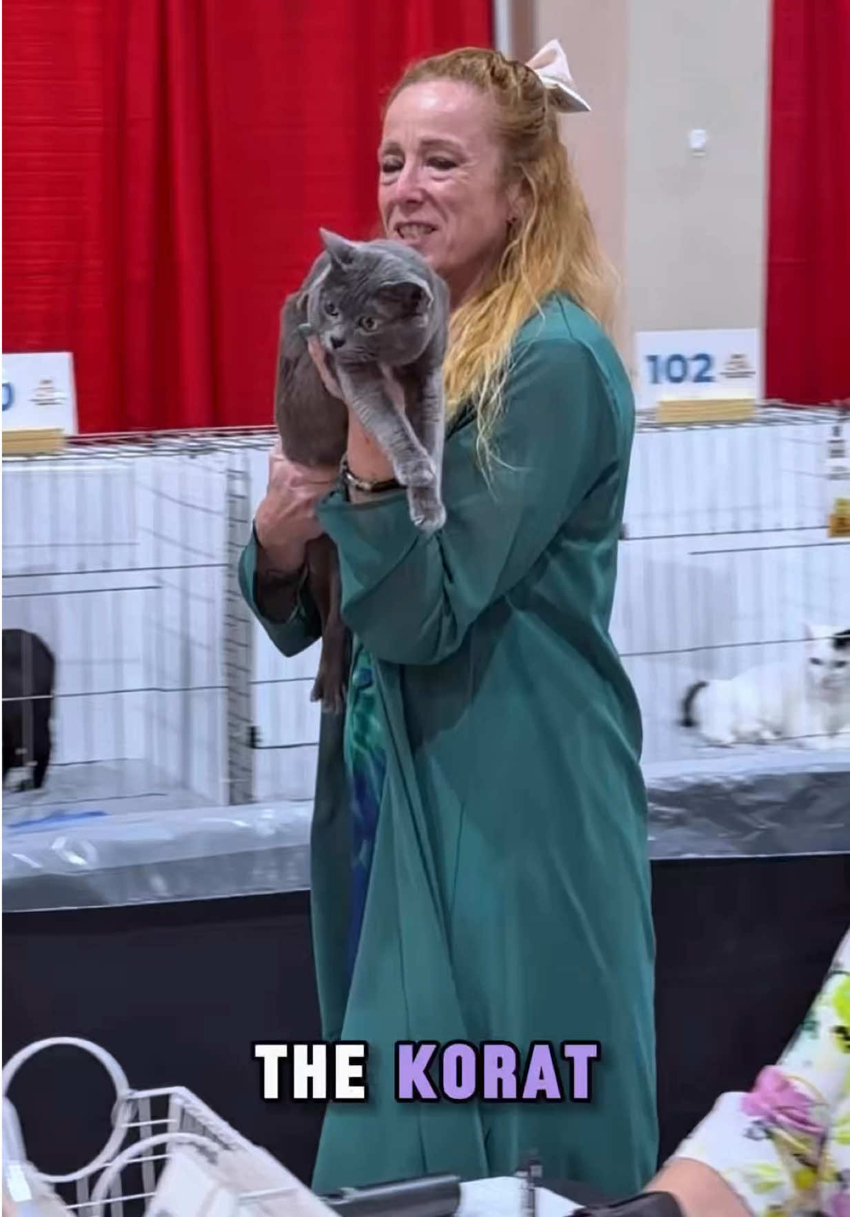 @NewVisionCatClub